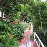 شقة Ana