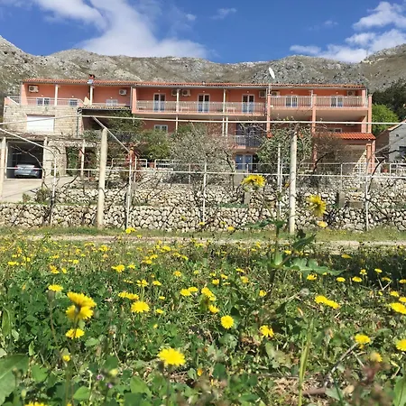 Apartmani Ana