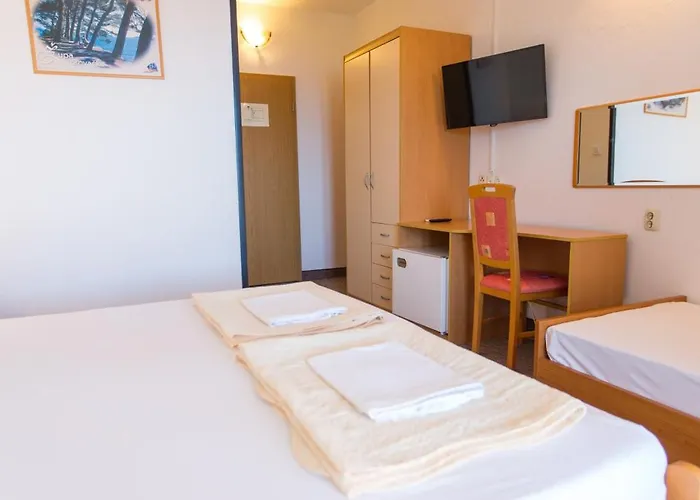 公寓 安娜公寓酒店 *