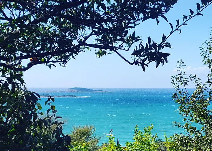 公寓 安娜公寓酒店