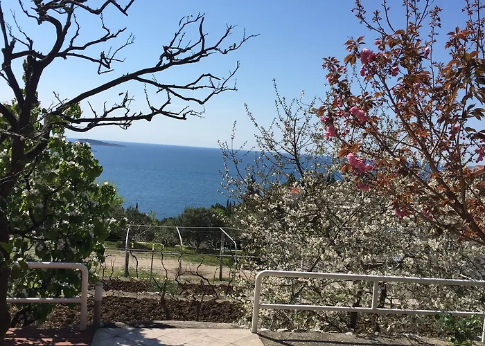 公寓 安娜公寓酒店