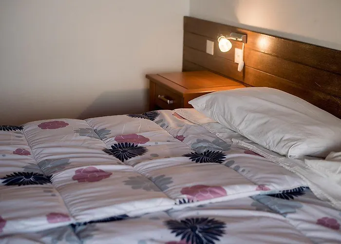 公寓 安娜公寓酒店 *