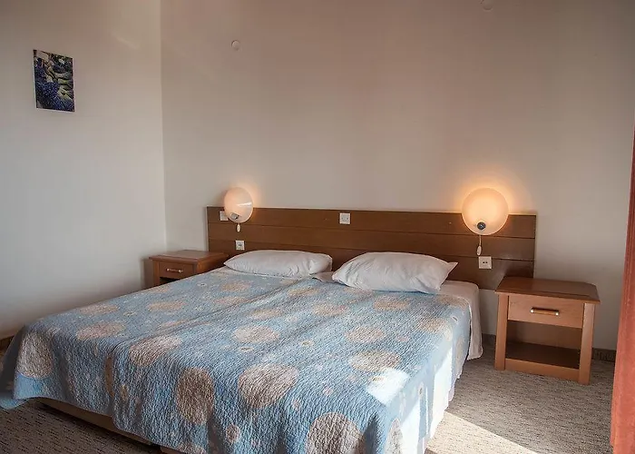 安娜公寓酒店 *