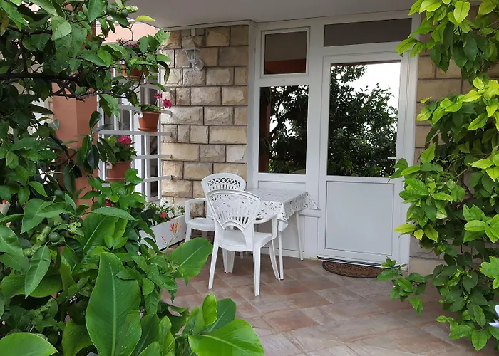 公寓 安娜公寓酒店