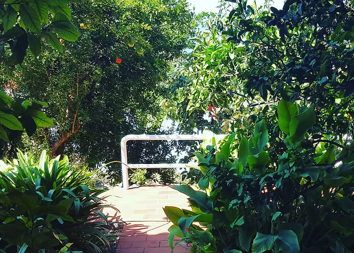 安娜公寓酒店 公寓 *