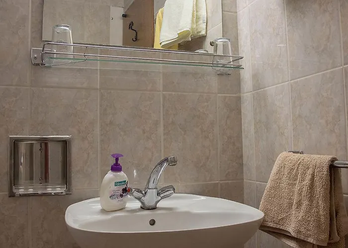 公寓 安娜公寓酒店 米利尼