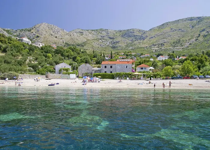 公寓 安娜公寓酒店