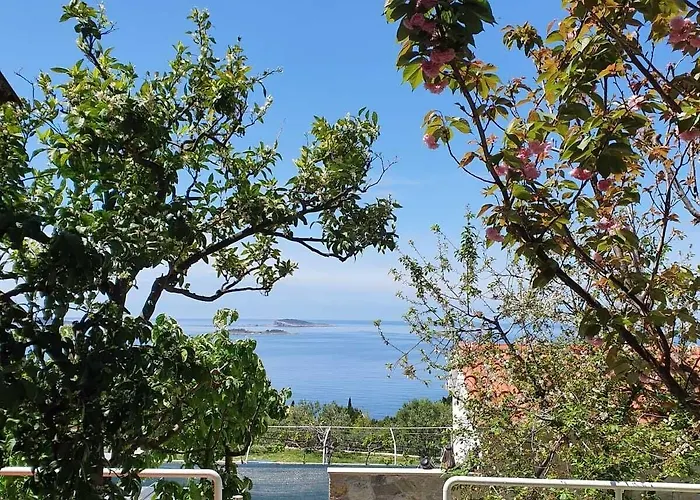 公寓 安娜公寓酒店 米利尼