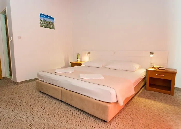 公寓 安娜公寓酒店