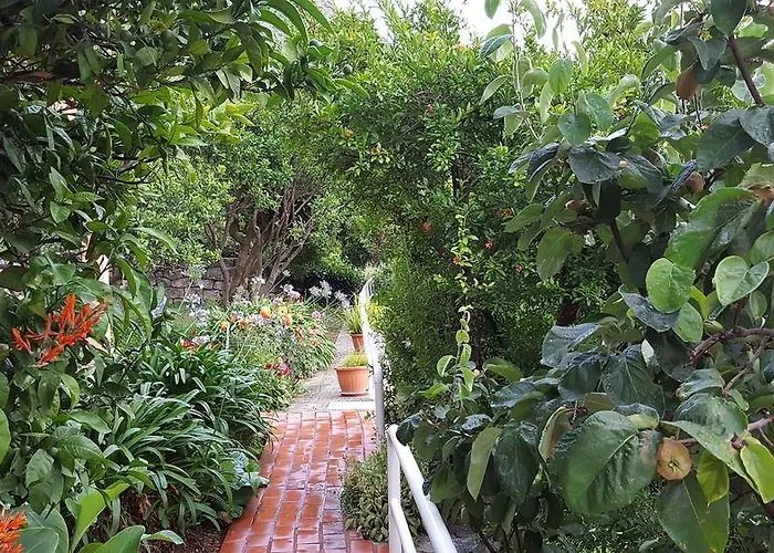 安娜公寓酒店 *