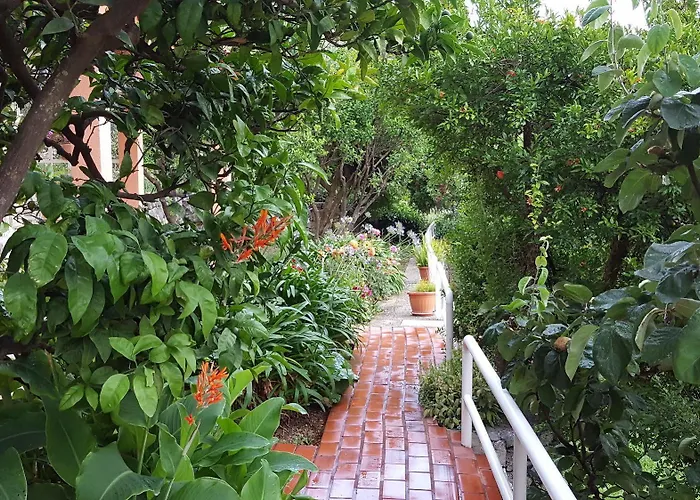 公寓 安娜公寓酒店